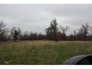 Property photo 16 - Creek County - Oklahoma Land Auction, 1,107 Acres 2 Tracts